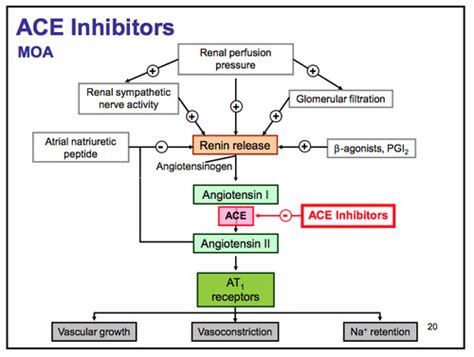 eponed|Ace inhibitors Flashcards